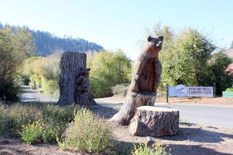 Duncans Mills Camping Club, a dog-friendly campground in Duncans Mills, California