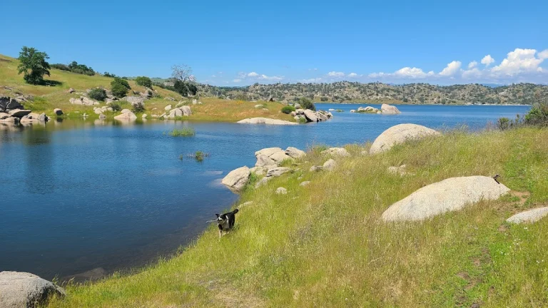 Eastman Lake, a dog-friendly lake in Chowchilla, California