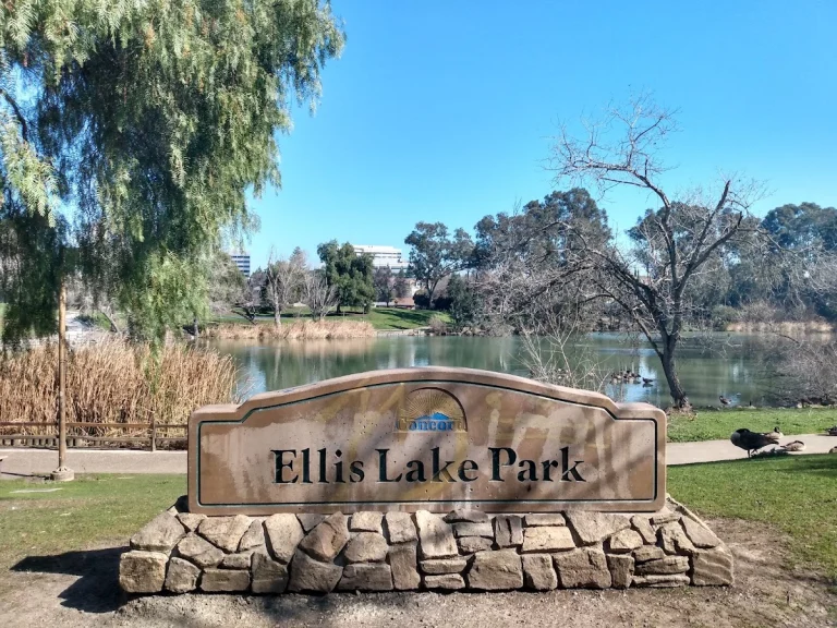 Ellis Lake Park, a dog-friendly accessible destination in Concord, California