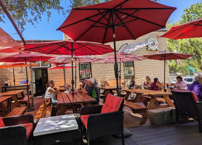 Fair Oaks Brew Pub, a dog-friendly restaurant in Fair Oaks, California