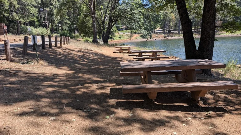 Forebay Park, a dog-friendly park in Pollock Pines, California