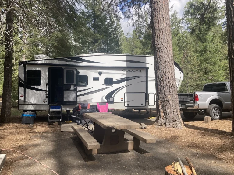 Fowlers Camp Campground, a dog-friendly campground in McCloud, California
