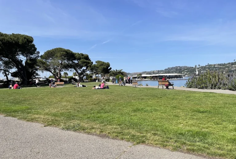 Gabrielson Park, a dog-friendly park in Sausalito, California