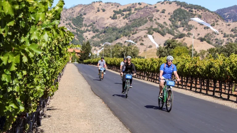 Getaway Adventures, a dog-friendly river recreation spot in Santa Rosa, California