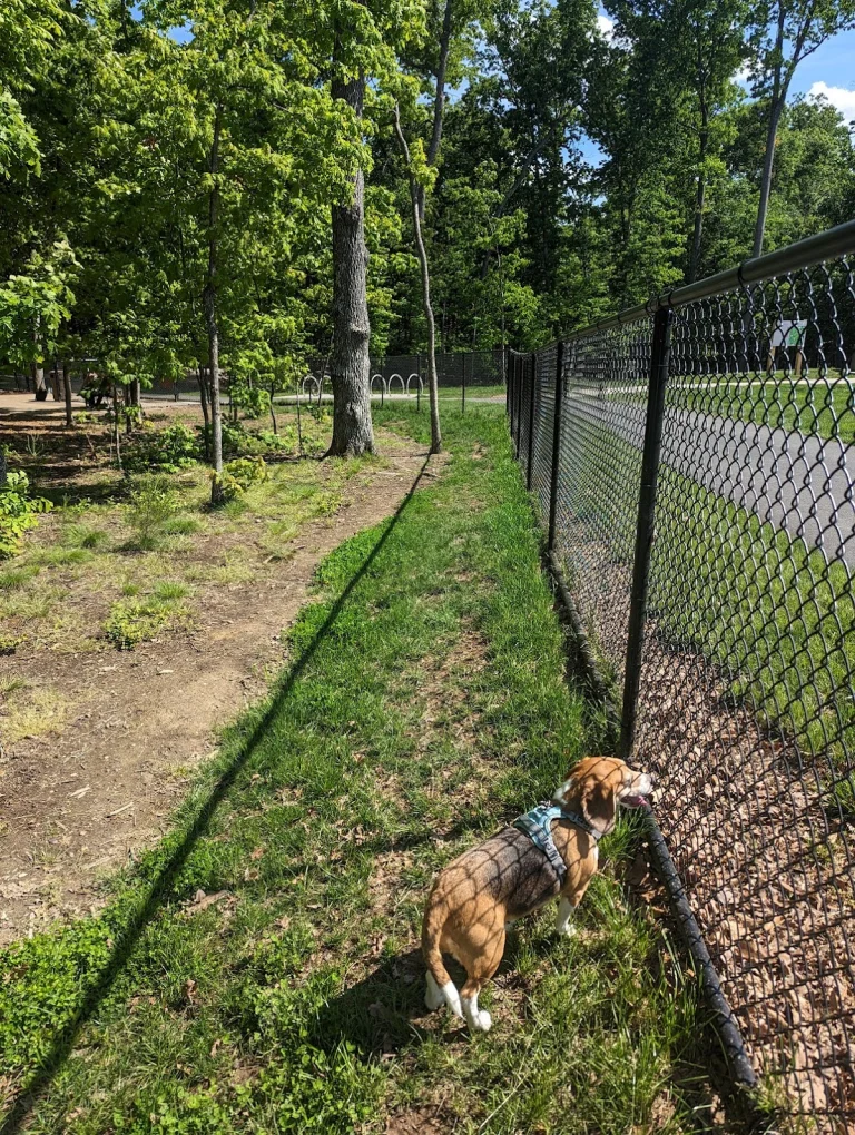 Hollandia Dog Park, a dog-friendly dog park in San Diego County, California