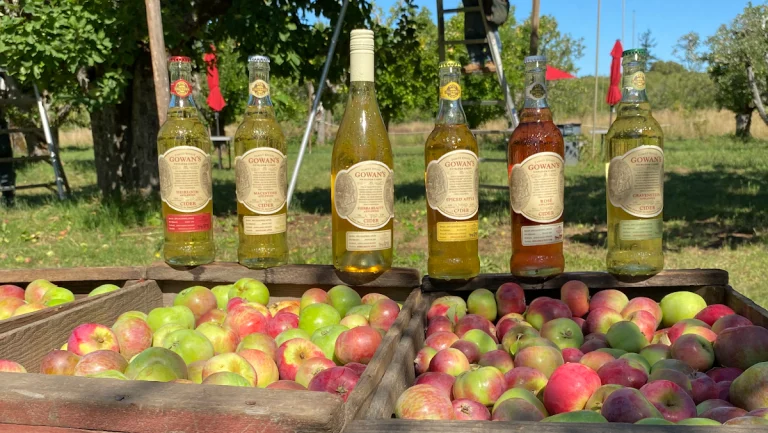 Gowan’s Heirloom Cider, a dog-friendly bar in Mendocino, California