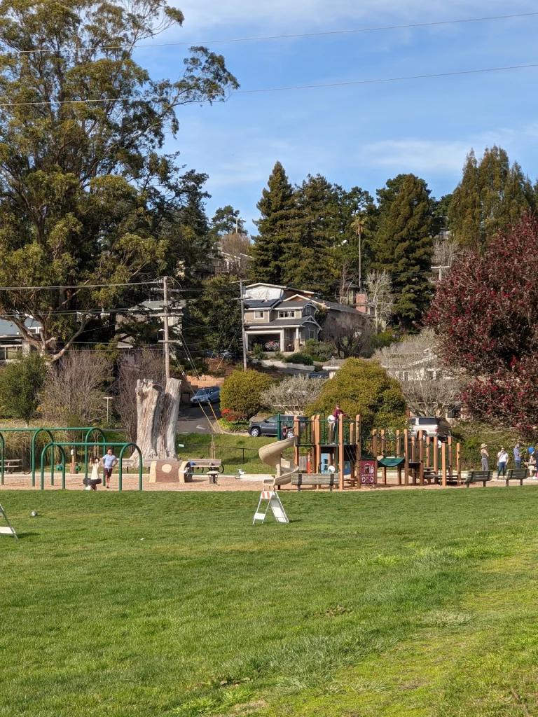 Hauke Park, a dog-friendly park in Mill Valley, California