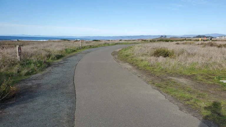 Haul Road Recreation Trail, a dog-friendly hiking trail in Fort Bragg, California