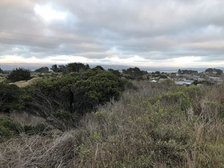 Humboldt Coast Nature Center