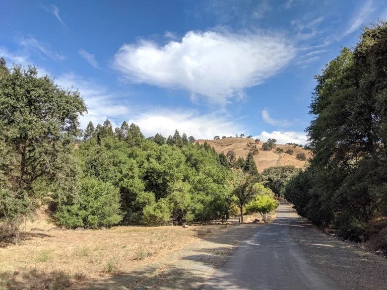Hume Grove Loop, a dog-friendly hiking trail in Vacaville, California