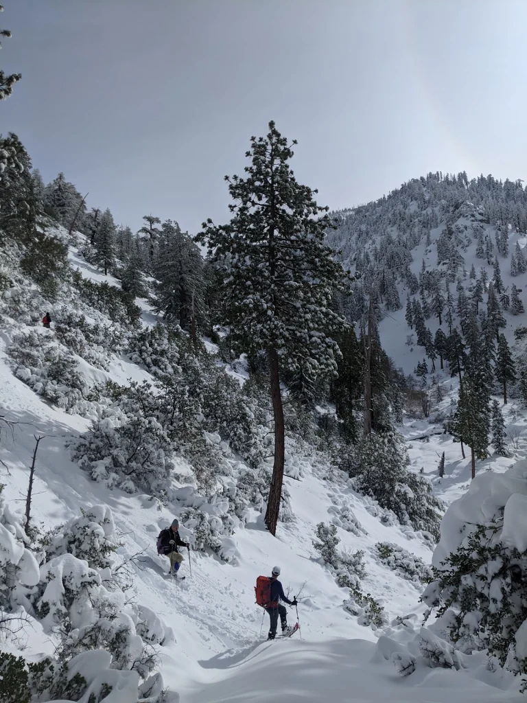Icehouse Canyon Trail, a dog-friendly hiking trail in Mt Baldy, California