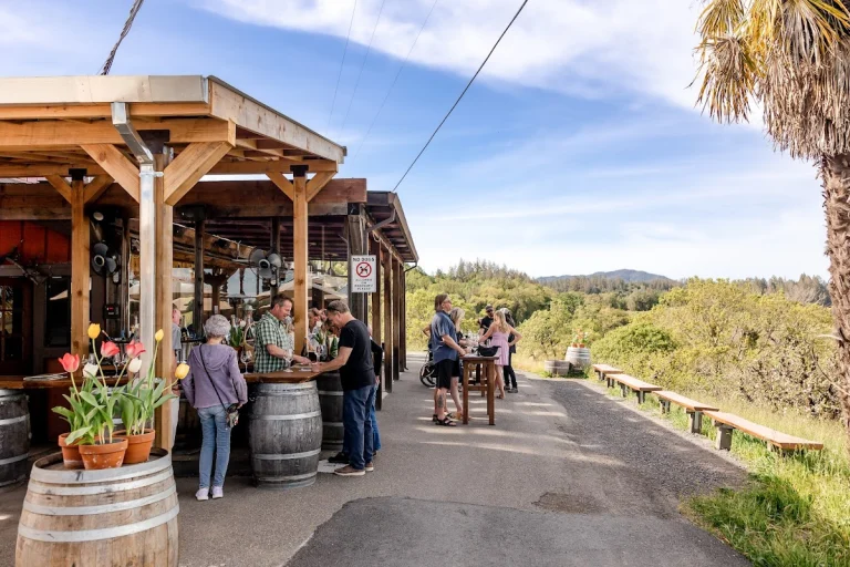 Iron Horse Vineyards, a dog-friendly winery in Sebastopol, California