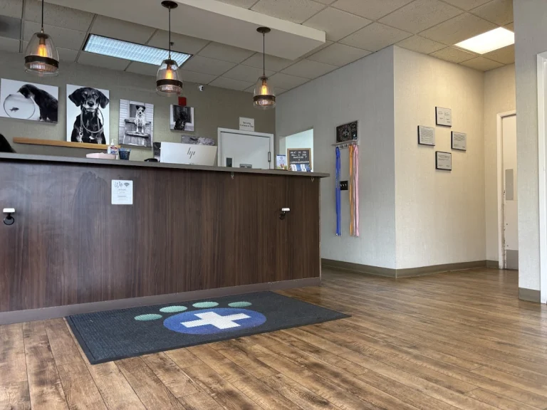 Ironhorse Vetcare, a dog-friendly veterinary clinic in Dublin, California
