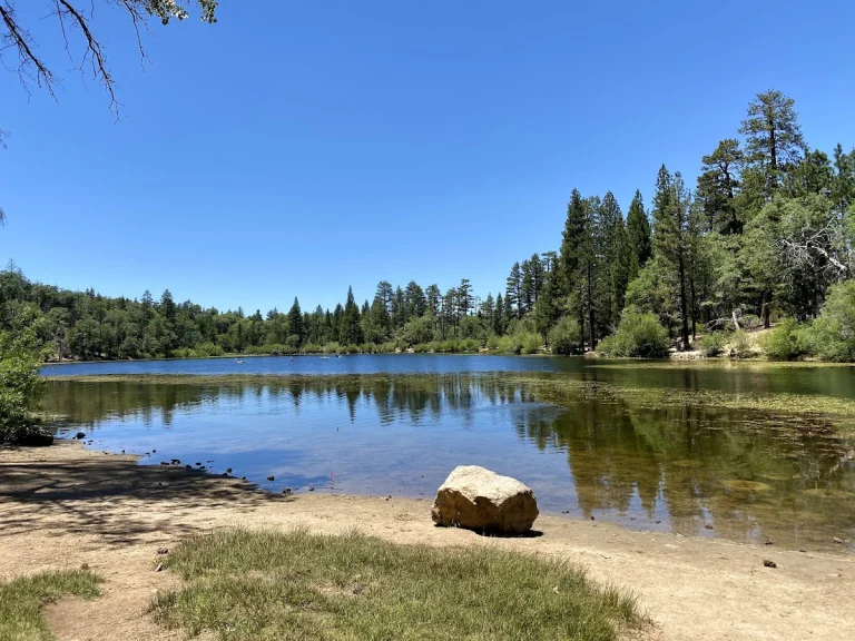 Jenks Lake Trail hiking path near Big Bear