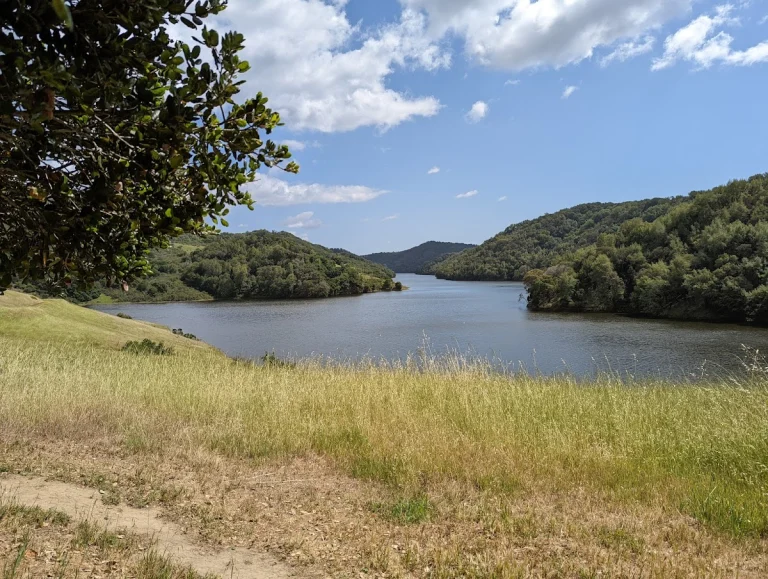 Kings Canyon Loop, a dog-friendly hiking trail in Moraga, California