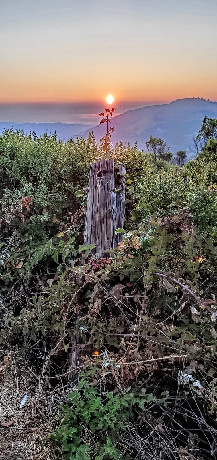 La Honda