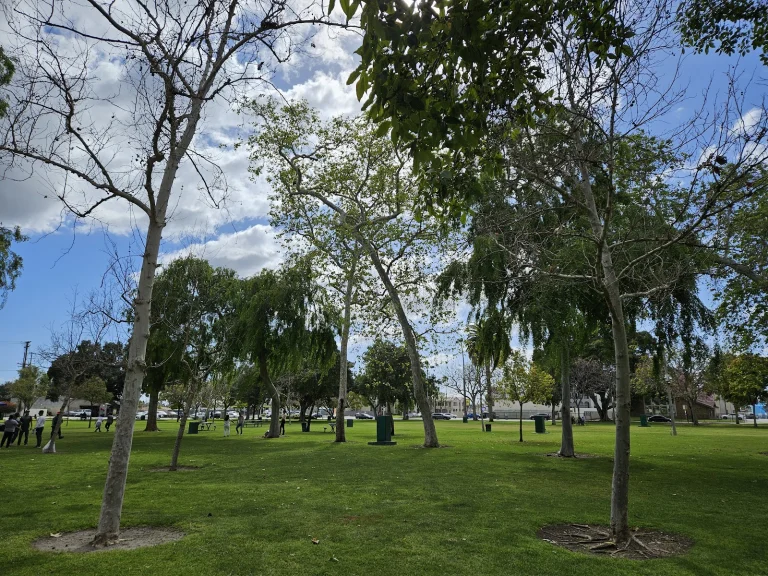 La Palma Dog Park