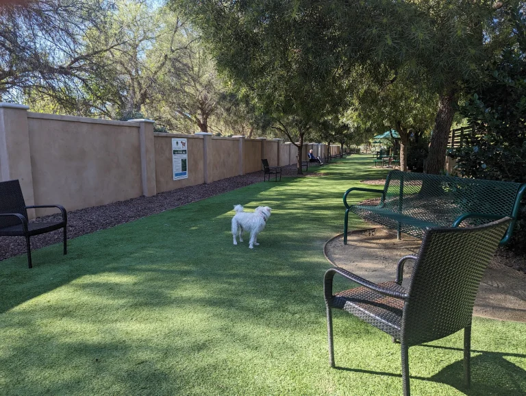 Laguna Woods Dog Park