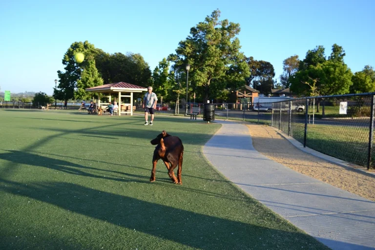 Lake Elizabeth Dog Park