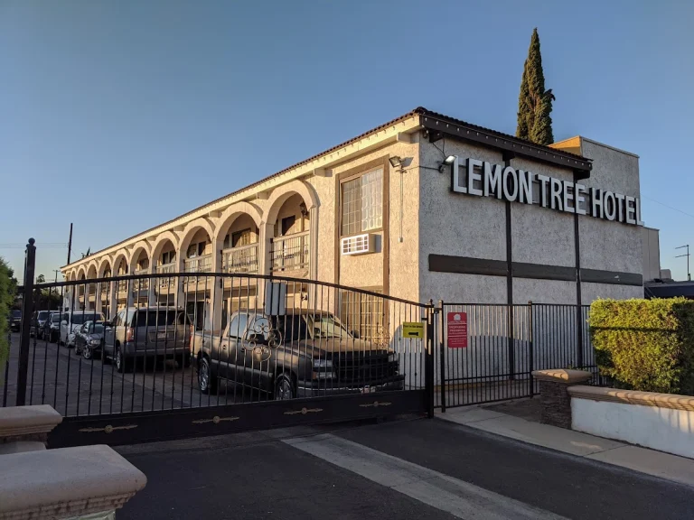 Lemon Tree Hotel, a dog-friendly hotel in Anaheim, California