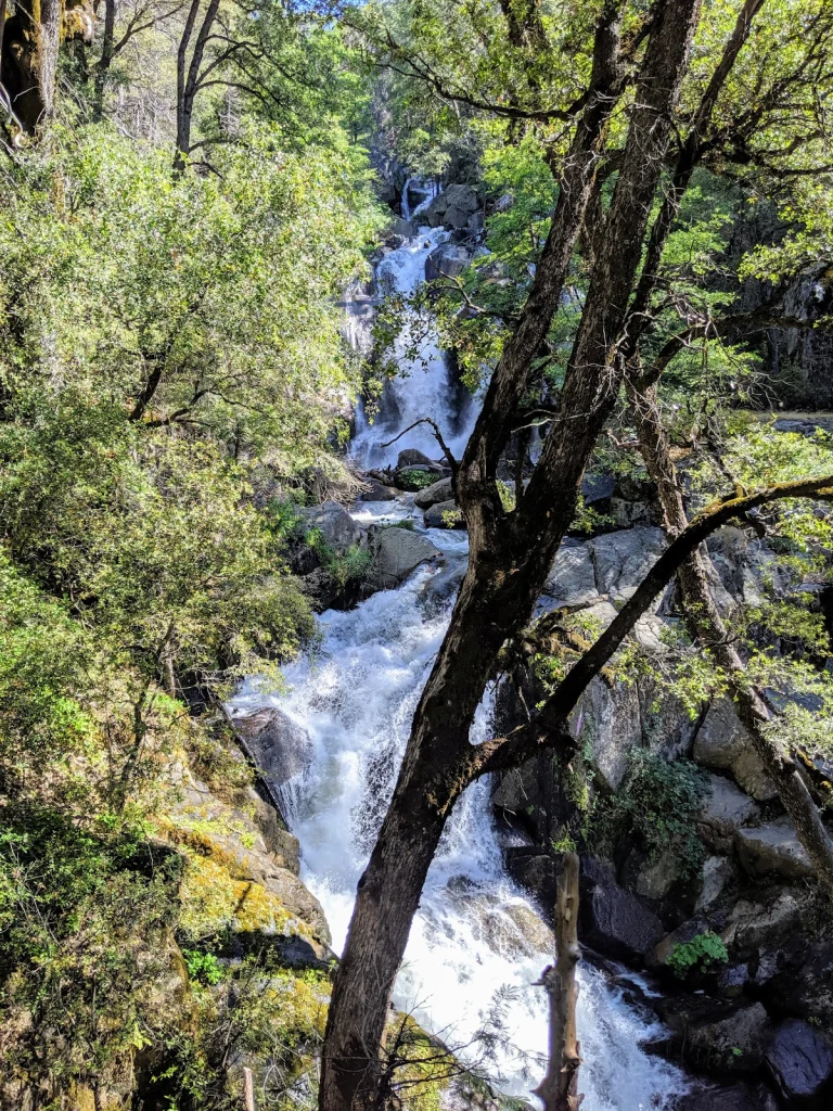 Lewis Creek middle trailhead