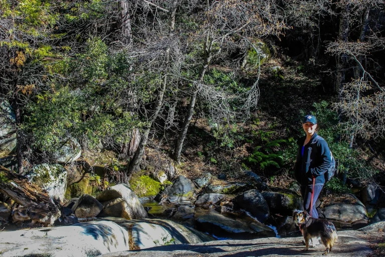 Lewis Creek north trailhead