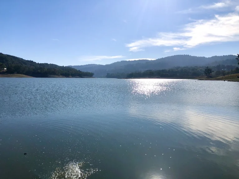 Lexington Reservoir