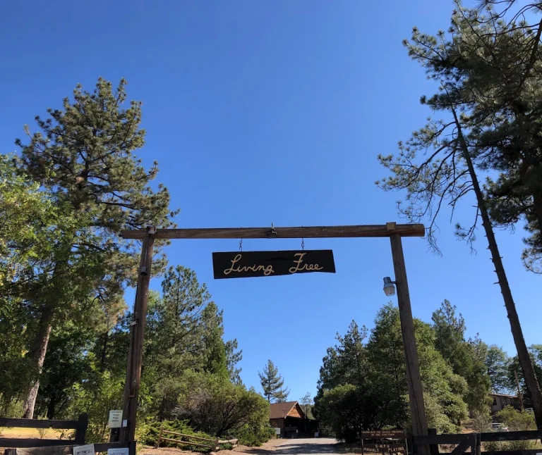 Living Free Animal Sanctuary, a dog-friendly animal rescue in Mountain Center, California
