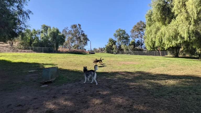 Loma Linda Dog Park