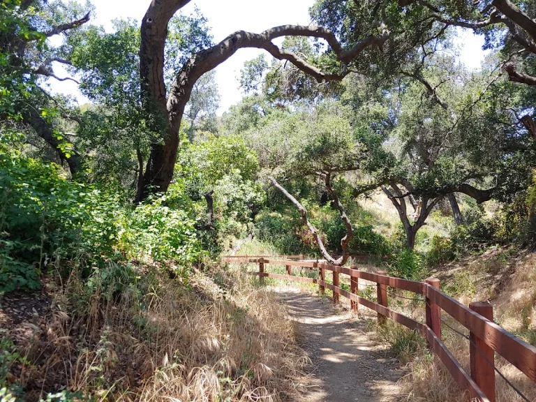 Los Robles Nature Walk