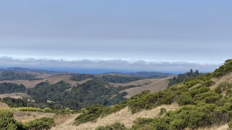 Lost loop trail — Google Places photo