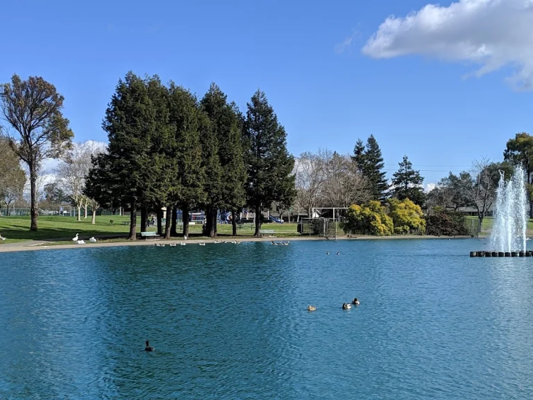 Lucchesi Park, a dog-friendly accessible destination in Petaluma, California