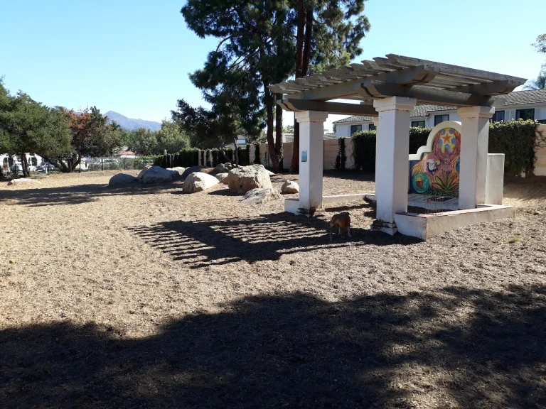 MacKenzie Park Dog Park Google Places photo