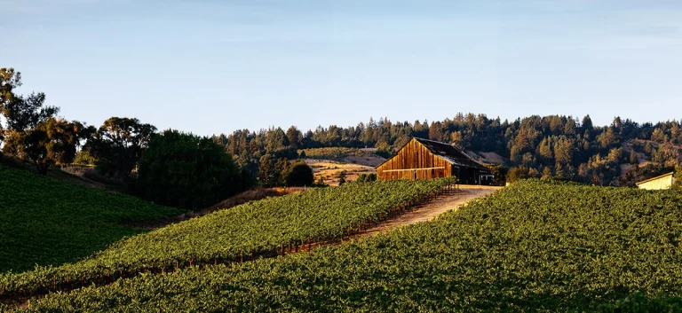 Maggy Hawk Wines Tasting Room, a dog-friendly winery in Philo, California
