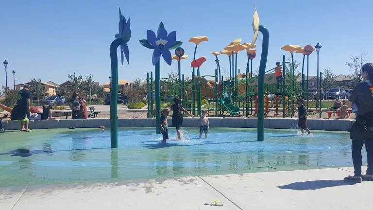 Magnolia Park, a dog-friendly park in Vacaville, California