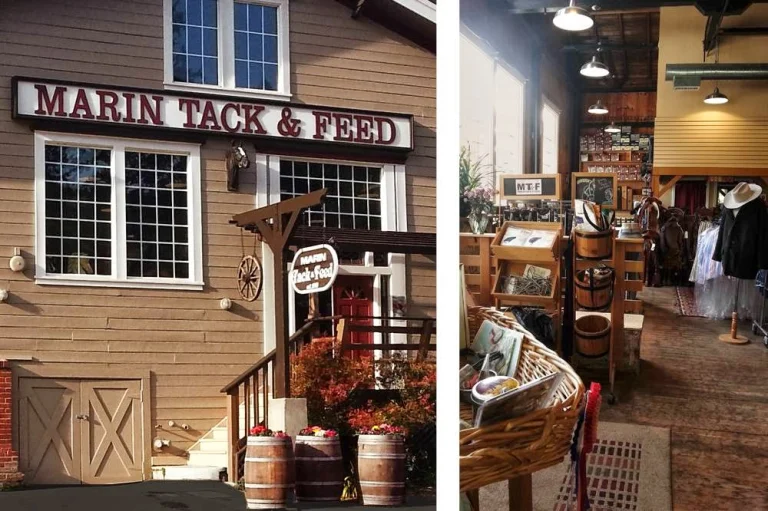 Marin Tack & Feed, a dog-friendly pet supply store in Forest Knolls, California