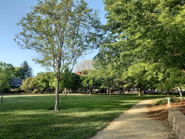 Markham Nature Park, a dog-friendly accessible destination in Concord, California