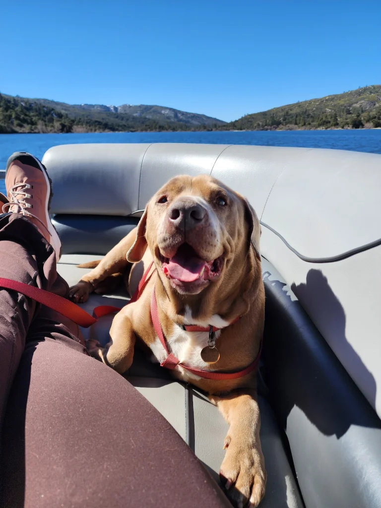 Marley's Mutts Dog Rescue, a dog-friendly animal rescue in Tehachapi, California