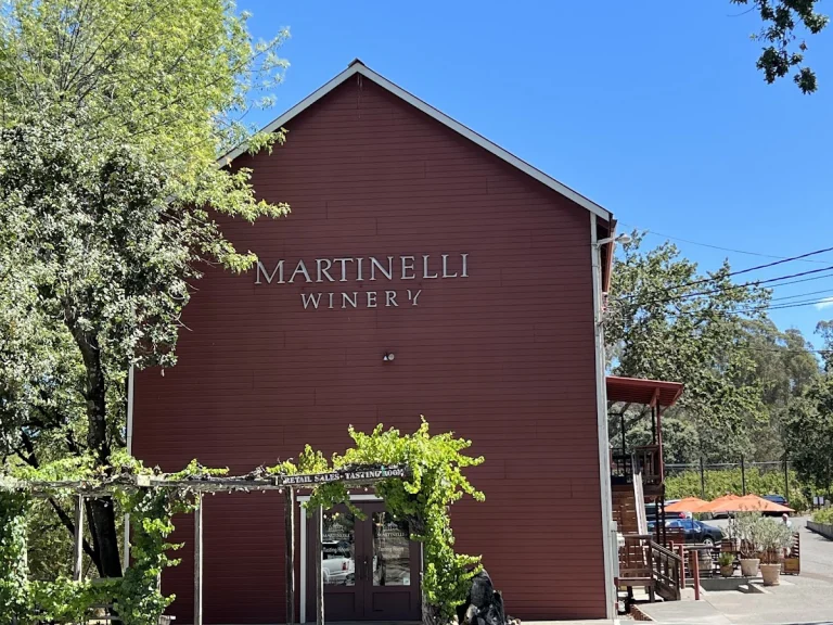 Martinelli Vineyards & Winery, a dog-friendly winery in Windsor, California