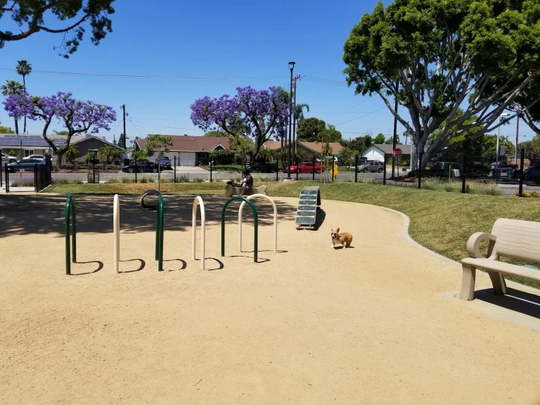 Maxwell Dog Park
