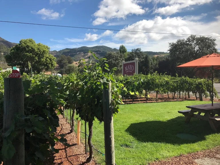 Mayo Family Winery Reserve Room, a dog-friendly winery in Kenwood, California