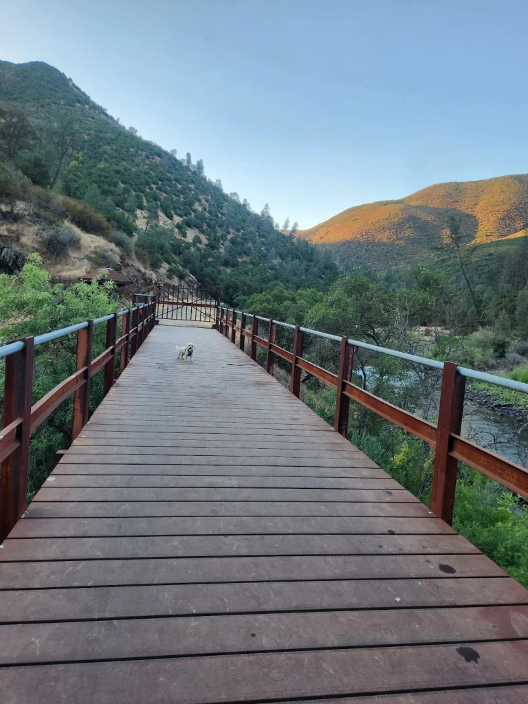 McCabe Flat Campground