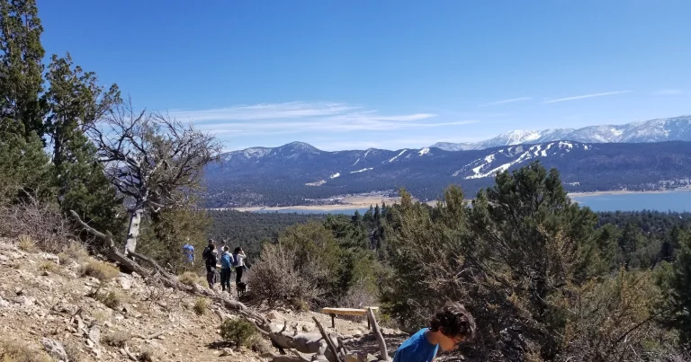 Meadows Edge Picnic Area Google Places photo