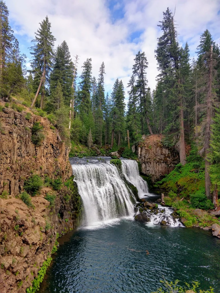 Middle Creek Falls Trail, a dog-friendly hiking trail in McCloud, California