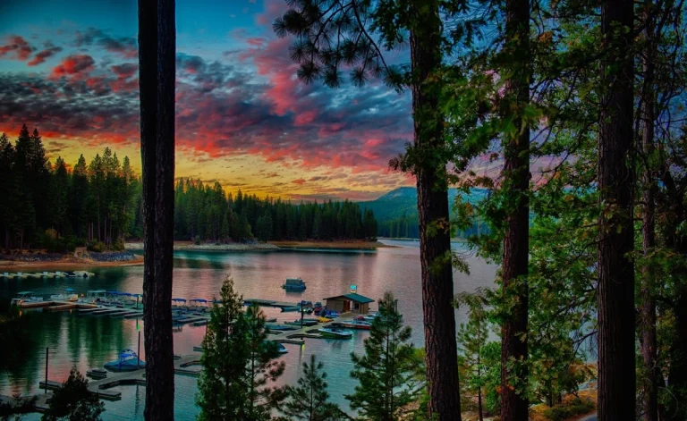 Miller's Landing Resort, a dog-friendly restaurant in Wishon, California