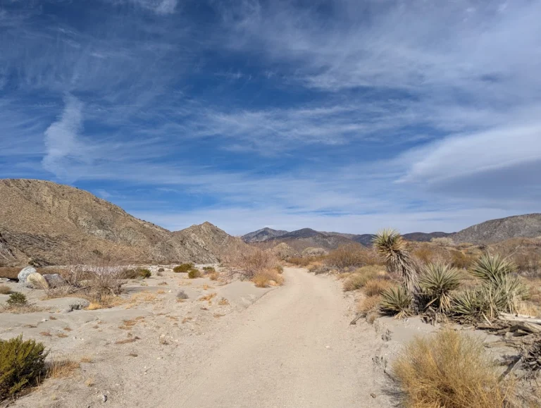 Mission Creek Preserve, a dog-friendly hiking trail in Desert Hot Springs, California