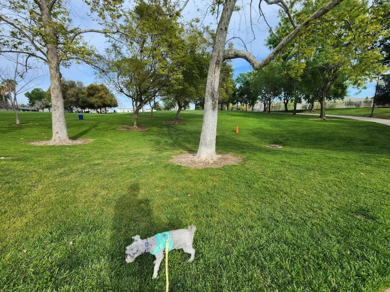 Mission Oaks Dog Park