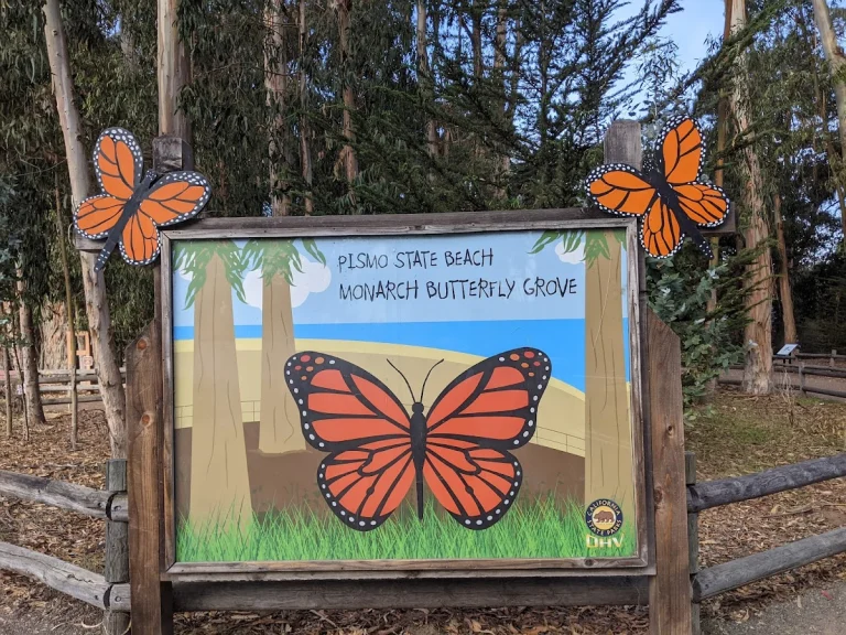 Monarch Butterfly Grove, a dog-friendly park in Pismo Beach, California