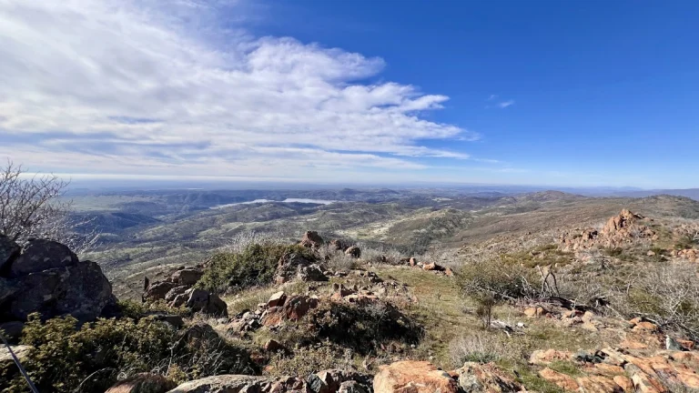 Mt Williams trail head