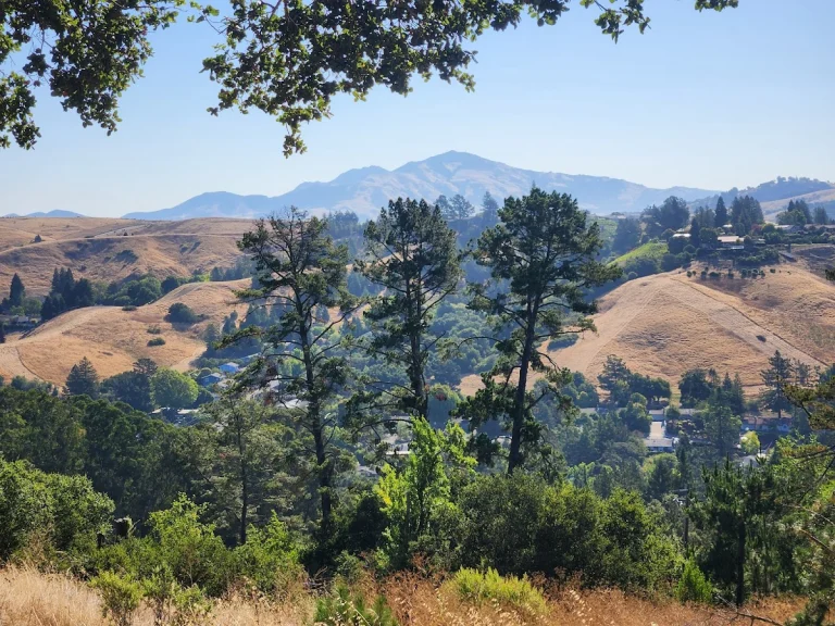 Mulholland Ridge Open Space, a dog-friendly hiking trail in Moraga, California